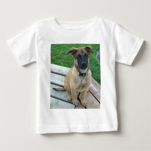 Belgische Shepherd Malinois Dog (Voorkant)