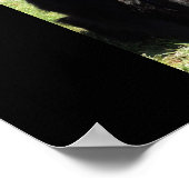 Belgische Shepherd ook bekend als "De zwarte wolf" Poster (Hoek)