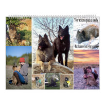 Belgische Shepherd Tervuren kalender