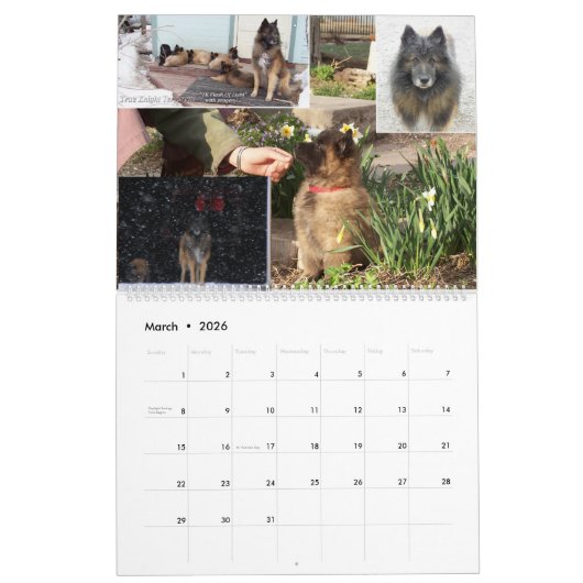 Belgische Shepherd Tervuren kalender (Mar 2026)