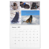 Belgische Shepherd Tervuren kalender (Feb 2027)