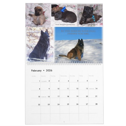 Belgische Shepherd Tervuren kalender (Feb 2026)