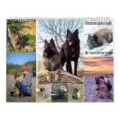 Belgische Shepherd Tervuren kalender (Hoes)