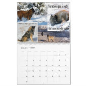 Belgische Shepherd Tervuren kalender (Jan 2027)