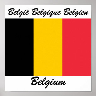 Belgische taalvlag poster