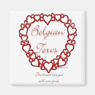 Belgische Terv True Love Magneet