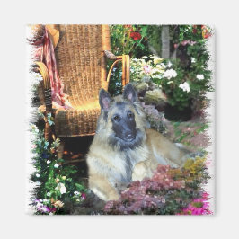 Belgische Tervuren Art Gifts Magneet