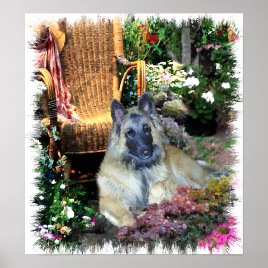 Belgische Tervuren Art Print (Voorkant)