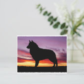Belgische Tervuren Briefkaart (Staand voorkant)