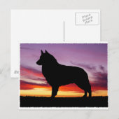 Belgische Tervuren Briefkaart (Voorkant / Achterkant)