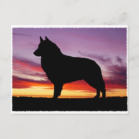 Belgische Tervuren Briefkaart (Voorkant)
