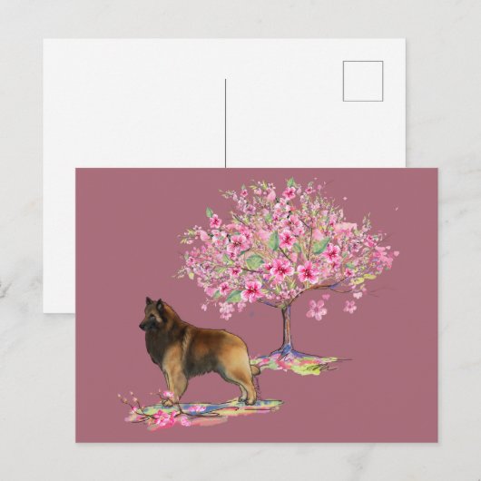 Belgische Tervuren Briefkaart (Voorkant / Achterkant)