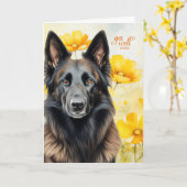 Belgische Tervuren Dog Golden Poppies worden beter Kaart (Gele Bloem)