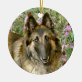 Belgische Tervuren Freidnship Ornament (Voorkant)
