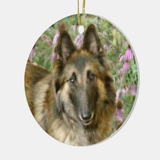 Belgische Tervuren Freidnship Ornament (Links)
