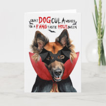 Belgische Tervuren Hond Grappig Graaf HondCula Hal