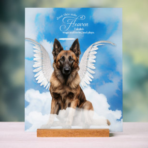 Belgische Tervuren hondenengel met naam Pet Memori Acryl Bord