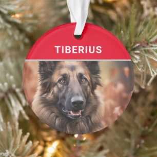 Belgische Tervuren Hondennaam en Kerstfoto Ornament