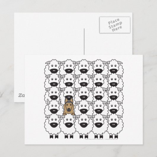 Belgische Tervuren in de schapen Briefkaart (Voorkant / Achterkant)