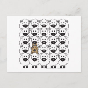 Belgische Tervuren in de schapen Briefkaart