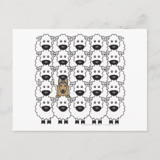 Belgische Tervuren in de schapen Briefkaart