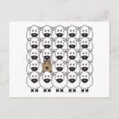 Belgische Tervuren in de schapen Briefkaart (Voorkant)