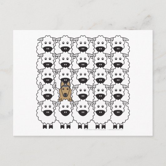 Belgische Tervuren in de schapen Briefkaart (Voorkant)