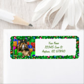 Belgische Tervuren Kerstmis open Now Labels (Insitu)