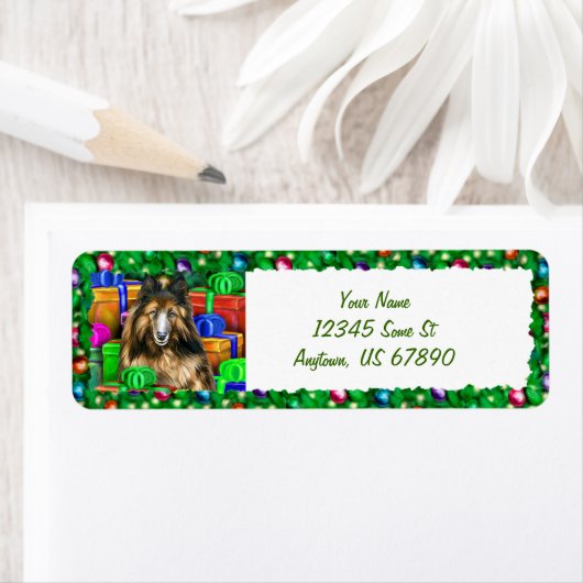 Belgische Tervuren Kerstmis open Now Labels (Insitu)