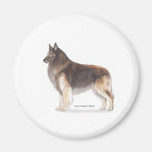 Belgische Tervuren Magneet