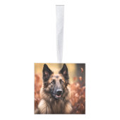 Belgische Tervuren naam twee foto kerstvakantie Decoratie (Rechts)