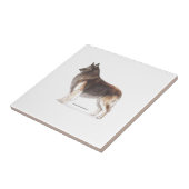 Belgische Tervuren Tegeltje (Zijkant)