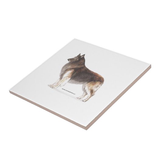 Belgische Tervuren Tegeltje (Zijkant)