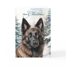 Belgische Tervuren Woodland Forest vrolijk kerstfe