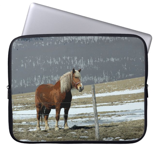 Belgische Trekpaard in Paddock Laptop Sleeve (Voorkant)