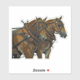 Belgische Trekpaard Team Douane Stickers
