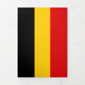 Belgische vlag drieluik kaart (Cover)