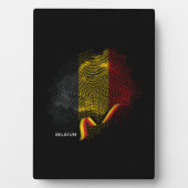 Belgische vlag fotoplaat (voorkant)