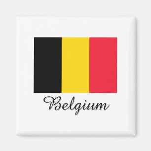 Belgische vlag magneet