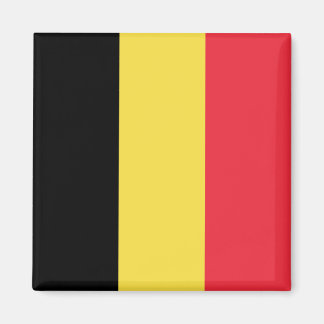 Belgische vlag magneet
