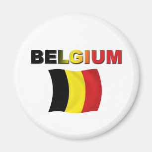 Belgische vlag magneet