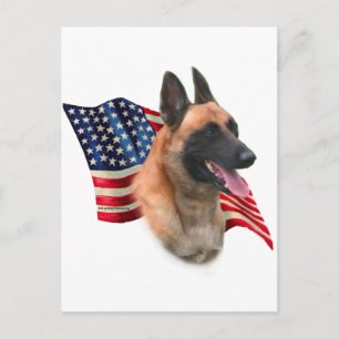 Belgische vlag Malinois Briefkaart