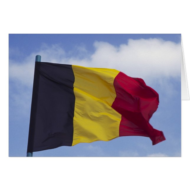 Belgische vlag RF) (Voorkant Horizontaal)