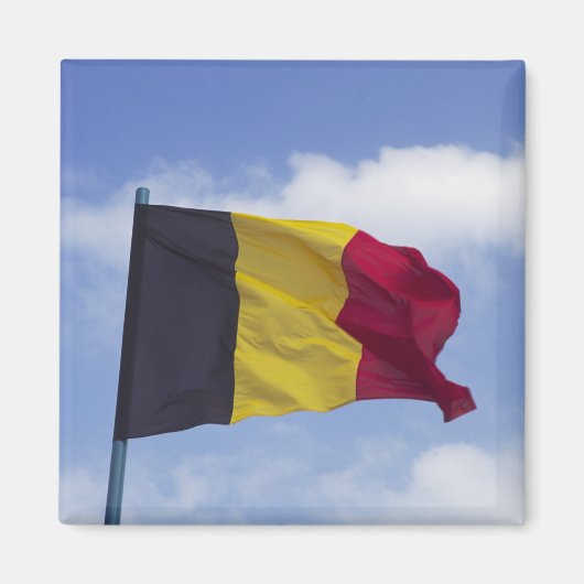Belgische vlag RF) Magneet (Voorkant)