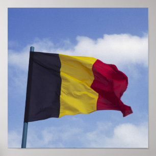 Belgische vlag RF) Poster