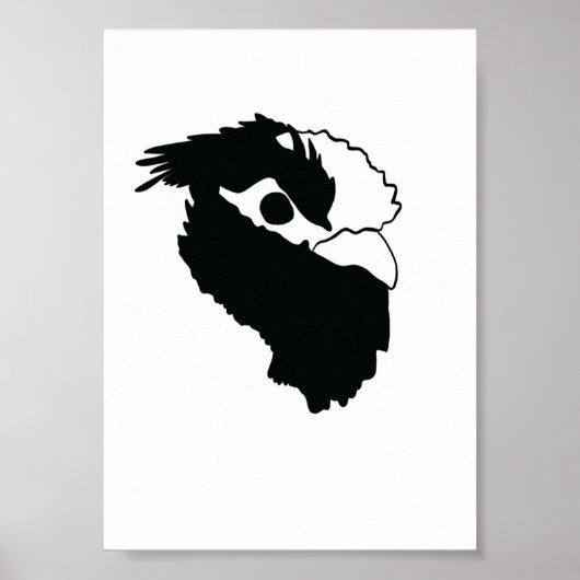 Belgische Watermaal Poster (Voorkant)