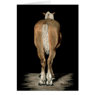 "Belgium got back" - Draft Horse Kaart