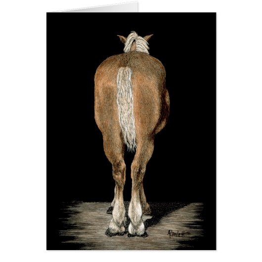 "Belgium got back" - Draft Horse Kaart (Voorkant)