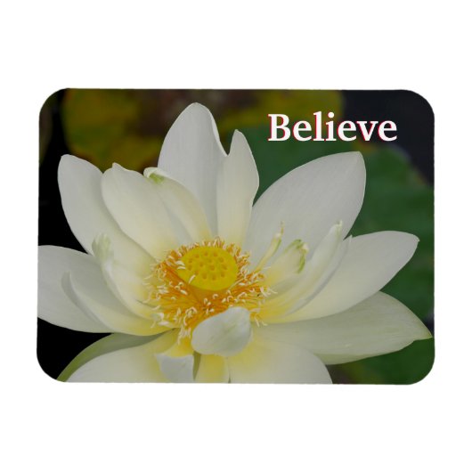 Believe Lotus Magnet Magneet (Horizontaal)