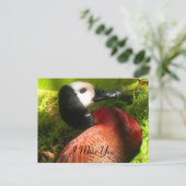 Believe_naal Briefkaart (Staand voorkant)